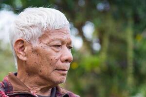 retrato do uma Senior homem com cinzento cabelo e olhando longe enquanto em pé dentro uma jardim. conceito do envelhecido pessoas e cuidados de saúde foto