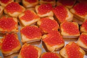 sanduíches com caviar isolado em branco fundo foto