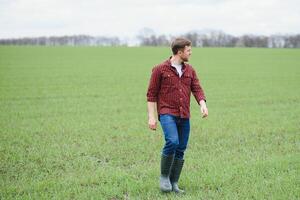 bonito agricultor. jovem homem caminhando dentro verde campo. Primavera agricultura. foto