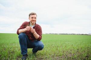 agricultor detém uma colheita do a solo e jovem verde trigo brotos dentro dele mãos verificação a qualidade do a Novo cortar. agrônomo análise a progresso do a Novo semeadura crescimento. agricultura saúde conceito foto