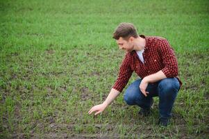 jovem bonito agricultor agachado dentro milho campo dentro Primavera. agronegócio e inovação conceito foto