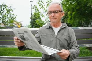 velho grisalho homem descansar em a Banco dentro verão parque foto