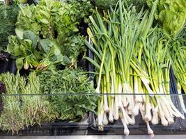 verde legumes em mercado para venda dentro manhã campo - pode usar para exibição ou montagem em produtos foto