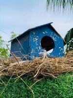 uma azul pássaro casa com uma orifício dentro a meio do isto foto