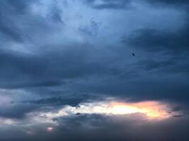 uma Sombrio céu com nuvens e uma pássaro vôo dentro a céu foto