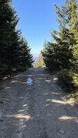 montanha caminhada trilha, estrada dentro a montanhas dentro Primavera com sobras do neve. foto