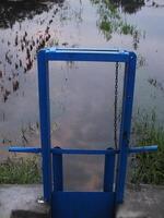 irrigação canal com azul metal porta para arroz Campos foto