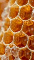 geométrico padrões dentro natural padrões tal Como favos de mel, flocos de neve, ou flor pétalas, que Exibir geométrico simetria e estrutura foto