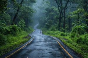 uma molhado, pavimentou estrada corre através uma denso floresta com árvores em qualquer lado foto