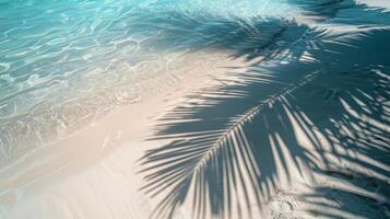 topo Visão do tropical folha sombra em água superfície. sombra do Palma folhas em branco areia de praia. foto