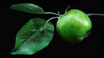 verde folha maçã fruta. foto