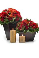 Sombrio de madeira vaso com vermelho flores em branco fundo foto