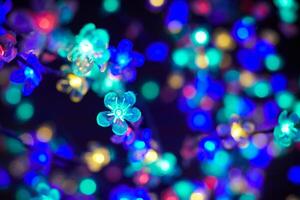 bokeh de luzes multicoloridas de guirlandas de flores luminosas decorativas no feriado, luzes multicoloridas foto