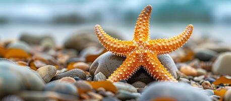 vibrante laranja estrelas do mar em seixo praia, destacando marinho vida natural beleza, ideal para de Meio Ambiente e educacional contente. embaixo da agua ecossistemas, ecoturismo, verão feriado conceito foto
