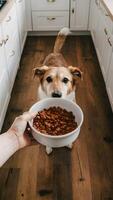 branco cachorro excitadamente esperando para Comida dentro uma brilhante cozinha com de madeira pavimentos vertical Móvel papel de parede foto