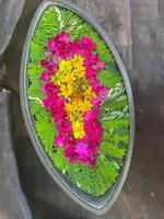 contrastante cores dentro flores arranjo foto