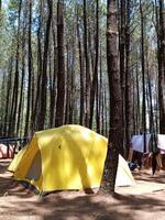 uma amarelo barraca dentro a madeiras. acampamento barraca dentro a floresta. área de camping dentro a montanha pinho florestas do merbabu nacional parque, central Java, Indonésia. foto