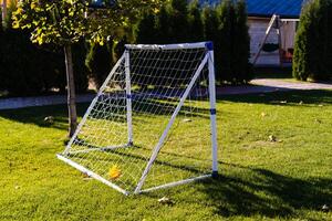 crianças Treinamento futebol metas em a gramado do a futebol campo estão preenchidas com folhas, floresta, parque. a folhas estão emaranhado dentro a internet foto