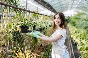 mulher jardineiro dentro avental carinhoso em vaso plantar dentro estufa cercado de plantas e potes. casa jardinagem, amor do plantas e Cuidado. pequeno negócios. foto