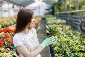 mulher jardineiro dentro avental carinhoso em vaso plantar dentro estufa cercado de plantas e potes. casa jardinagem, amor do plantas e Cuidado. pequeno negócios. foto