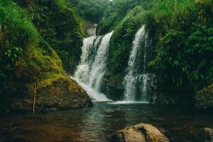 vista da cachoeira no meio da floresta foto