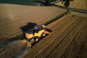 combinar colheitadeira trabalhando dentro agrícola campo. colheita estação foto