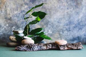 orgânico natural fundo árvore latido e ramo com folhas dentro pedras em verde mesa foto