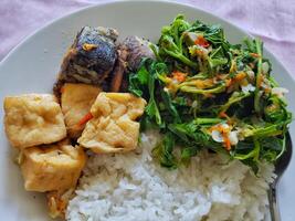 indonésio Comida chamado nasi acampamento foto