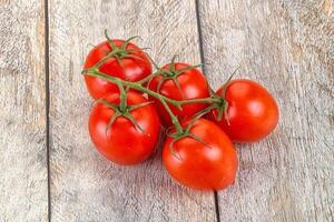 cru vermelho flamenco tomate ramo foto