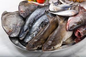 cru peixe misturar para cozinhando foto