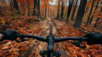 ciclismo através temperado folha larga e misturado floresta em uma bosque trilha foto