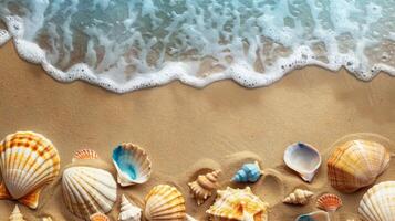 desgastado pela água mar cartuchos em arenoso de praia de azul oceano, natural moda acessórios foto