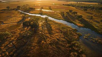 rio enrolamento através verde campo às pôr do sol dentro natural panorama foto