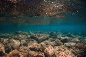 embaixo da agua Visão com pedras e algas marinhas dentro transparente mar. luz solar dentro oceano foto