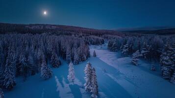 enluarada Nevado floresta visto a partir de acima, debaixo uma cheio lua dentro a céu foto