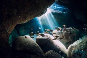 embaixo da agua caverna com raios solares escola do peixe dentro oceano foto