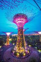 luzes dentro jardins de a baía dentro Cingapura. foto