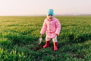 retrato do criança pequeno menina dentro a campo com uma pá foto