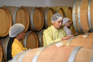 profissional enólogo controlando vinho fazer processo e qualidade às adega fábrica foto