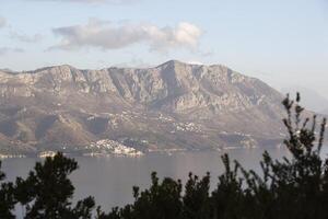 Primavera dentro a montanhas, lindo montanha panorama. Visão do a montanha alcance e verde árvores verão, outono e inverno. budva, Montenegro. Europa. fundo. para texto. bandeira. cartão postal. foto