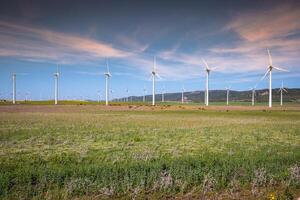 moinhos de vento para produção de energia elétrica foto