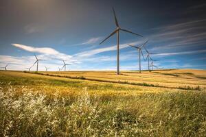 moinhos de vento para produção de energia elétrica foto