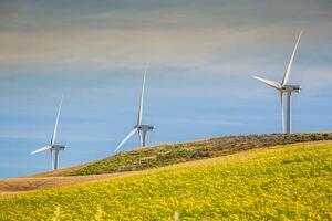 moinhos de vento para produção de energia elétrica foto