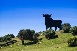 uma típica Preto touro ao longo a espanhol estradas foto