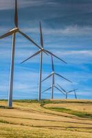 moinhos de vento para produção de energia elétrica foto