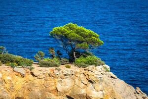 cala nova de praia dentro ibiza ilha dentro balear Mediterrâneo foto