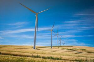 moinhos de vento para produção de energia elétrica foto