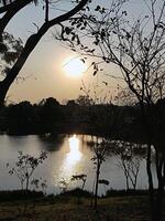 lago com dourado reflexão do a pôr do sol. e silhuetas do árvores às crepúsculo. foto