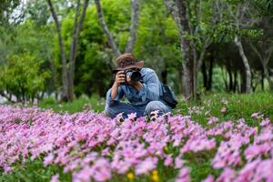 fotógrafo é levando foto do florescendo selvagem flor Prado Rosa zephyranthes carinata chuva lírio lâmpada durante Primavera estação dentro a bosque floresta que é nativo para central América para caminhada viagem