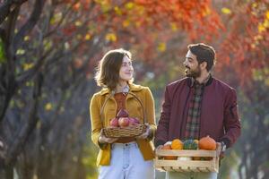 feliz caucasiano agricultor casal carregando orgânico caseiro produzir colheita com maçã, abóbora e abóbora enquanto caminhando ao longo a país estrada com outono cor a partir de bordo árvore durante outono estação foto